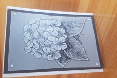 Vellum  Embossing