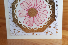 20190415_190457-scaled