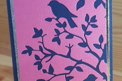 6x4 Card  £2.00